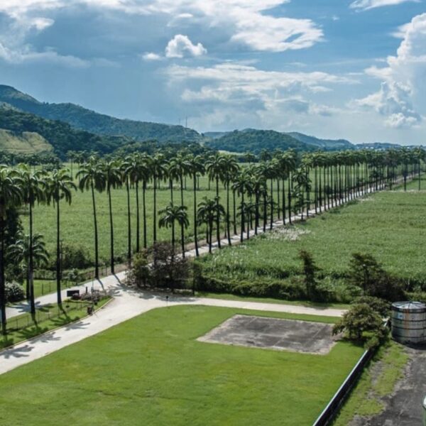 Don Alberto J. Vollmer presentó sus memorias 