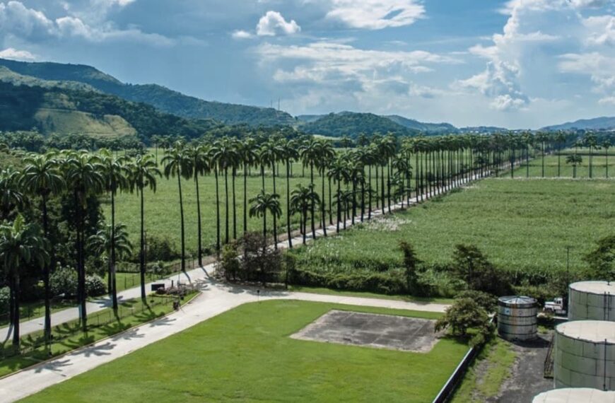 Don Alberto J. Vollmer presentó sus memorias 