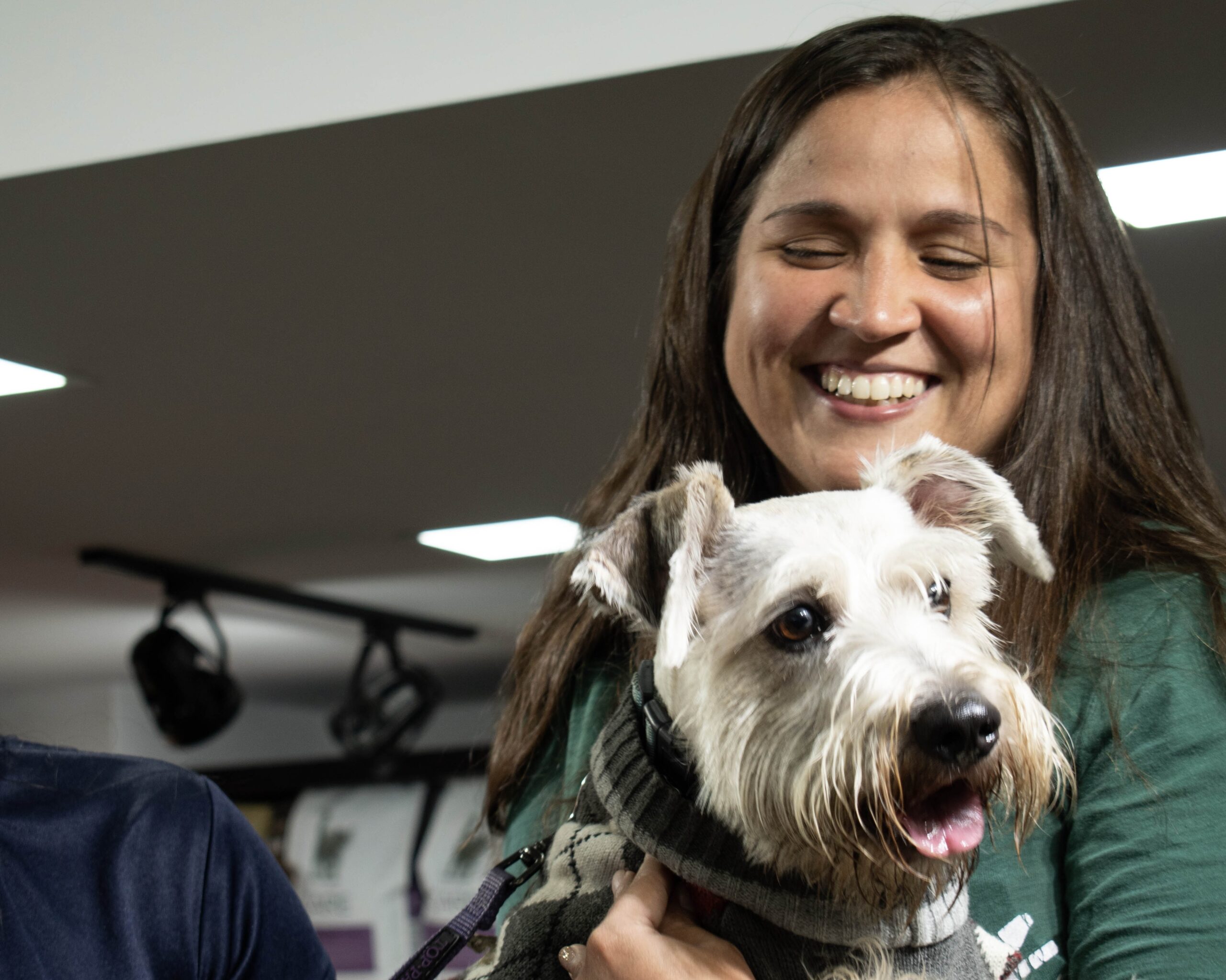 Vidapets apuesta por la construcción de una comunidad Pet friendly