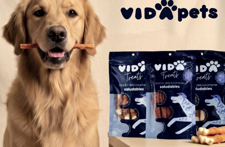 Vida Pets promueve el juego y los premios como parte del bienestar de las mascotas con sus Vida Treats