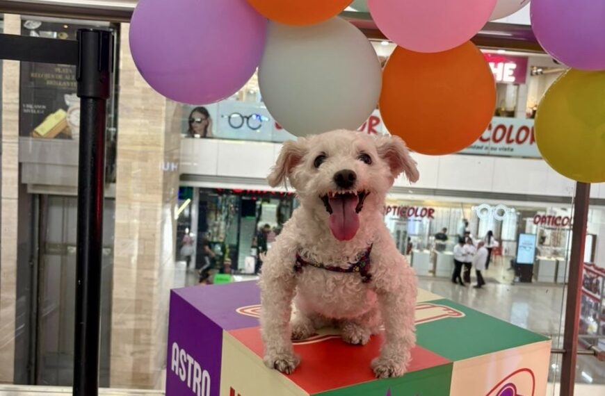 Festipatitas celebra su segunda edición en Maracay con una experiencia integral para mascotas y sus familias
